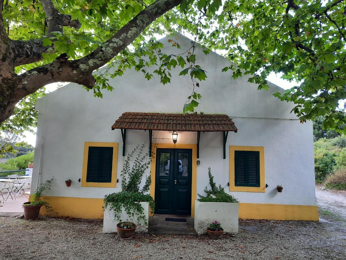 Montejunto Villas - Casa Do Platano Cadaval Zewnętrze zdjęcie