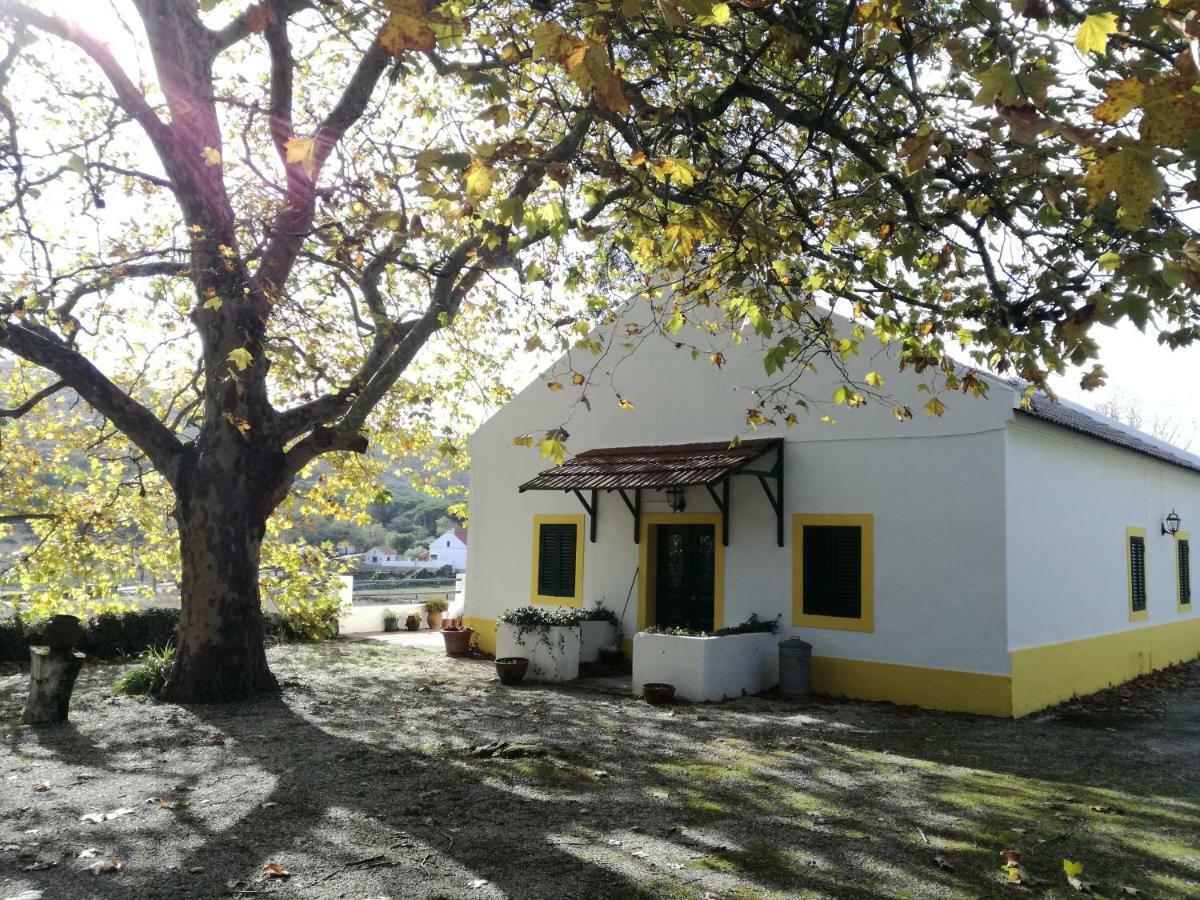 Montejunto Villas - Casa Do Platano Cadaval Zewnętrze zdjęcie