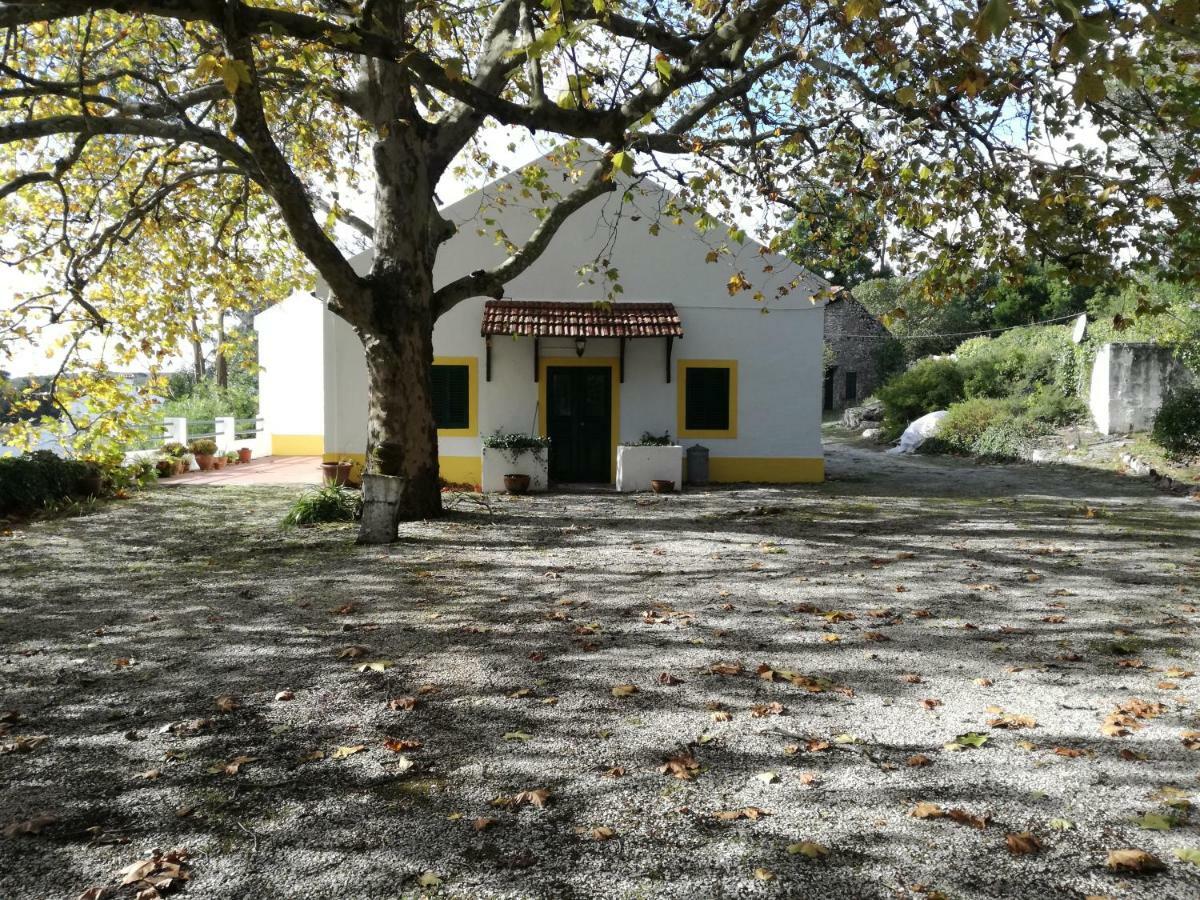 Montejunto Villas - Casa Do Platano Cadaval Zewnętrze zdjęcie