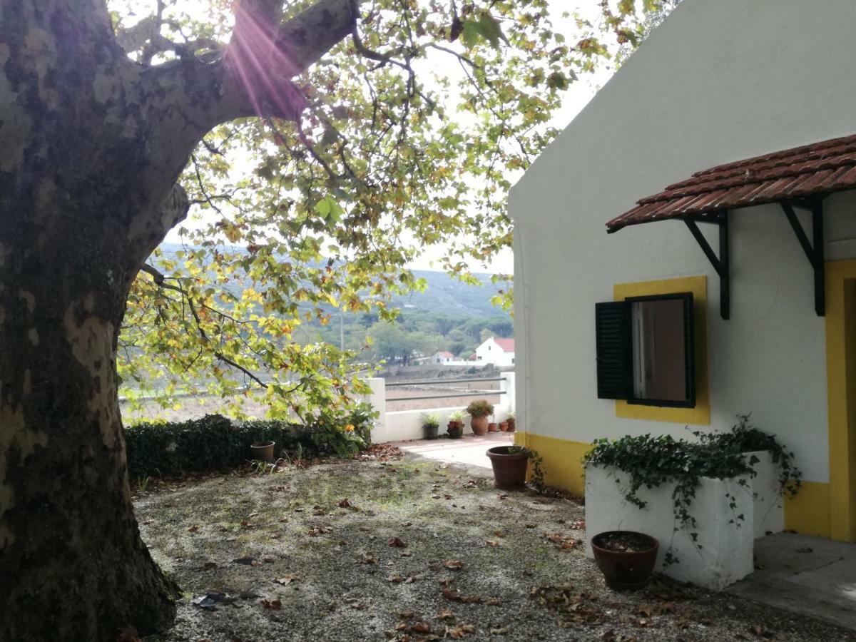 Montejunto Villas - Casa Do Platano Cadaval Zewnętrze zdjęcie